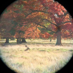 PS FALLOWDEER MALEGRUNTS VERYCLOSE DPA4060s MIXPRE6ii