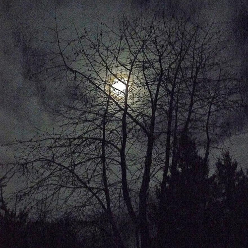 ‎⁨أنت الغياب - محمد بن غرمان ¦¦ 2020 حصريا⁩.m4a