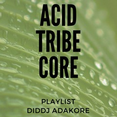 ACID TRIBE CORE