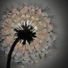 Constant Sorrow (amped)