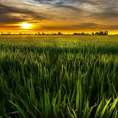 Bin Riyul E Woq - Zach