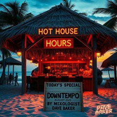 🏖 The Best of Downtempo August 2025 🏖