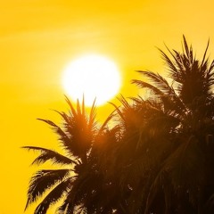 VaccE - Sunshine [Original Mix]