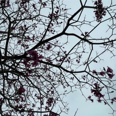 "What’s My Age Again" by 420HEF | made on the Rapchat app (prod. by prodsensational)