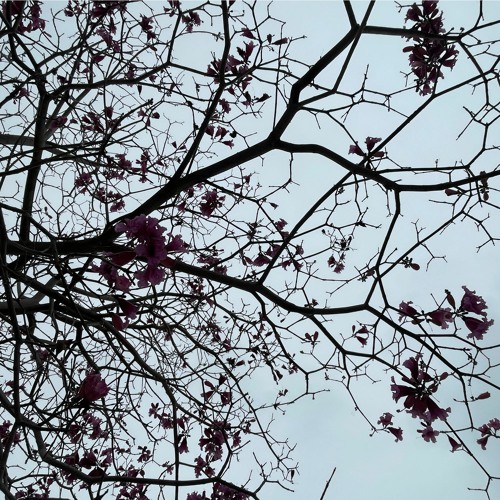 "What’s My Age Again" by 420HEF | made on the Rapchat app (prod. by prodsensational)