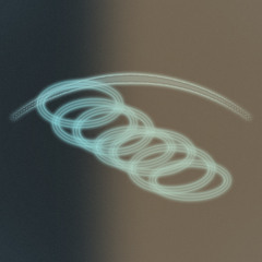 Spin