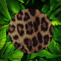 Unlimited (ITA) - Jungle