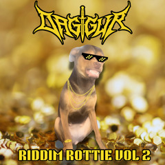 Riddim Rottie Vol 2