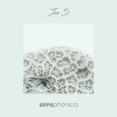 Jon S X simsphonica SP13 - Sep 2021