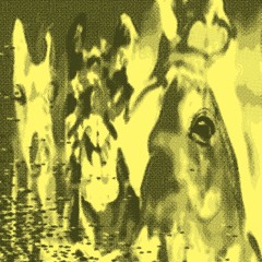 'S/T TAPE SNIPPETS