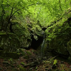 DJ Lunar - Forest with caves (PSY MIX)