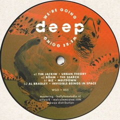 Various (Tim Jackiw, Böhm...) - Volume 5 (WGD005)