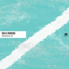 Salo & Bandung - Increase The Dosis (Original mix)