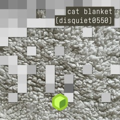 cat blanket (disquiet0550)