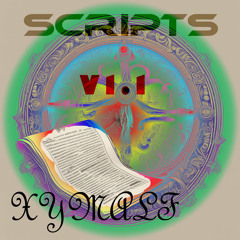 Scripts V1.1 (2025 Remastered Version)