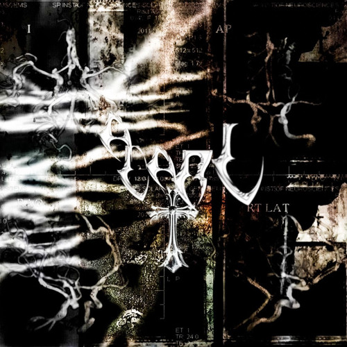Acari Intro