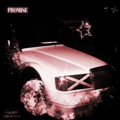 PROMISE