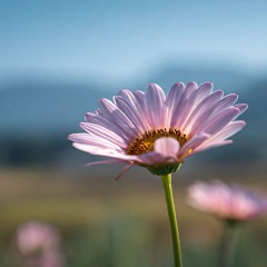 Good to See You Again (Part 1)