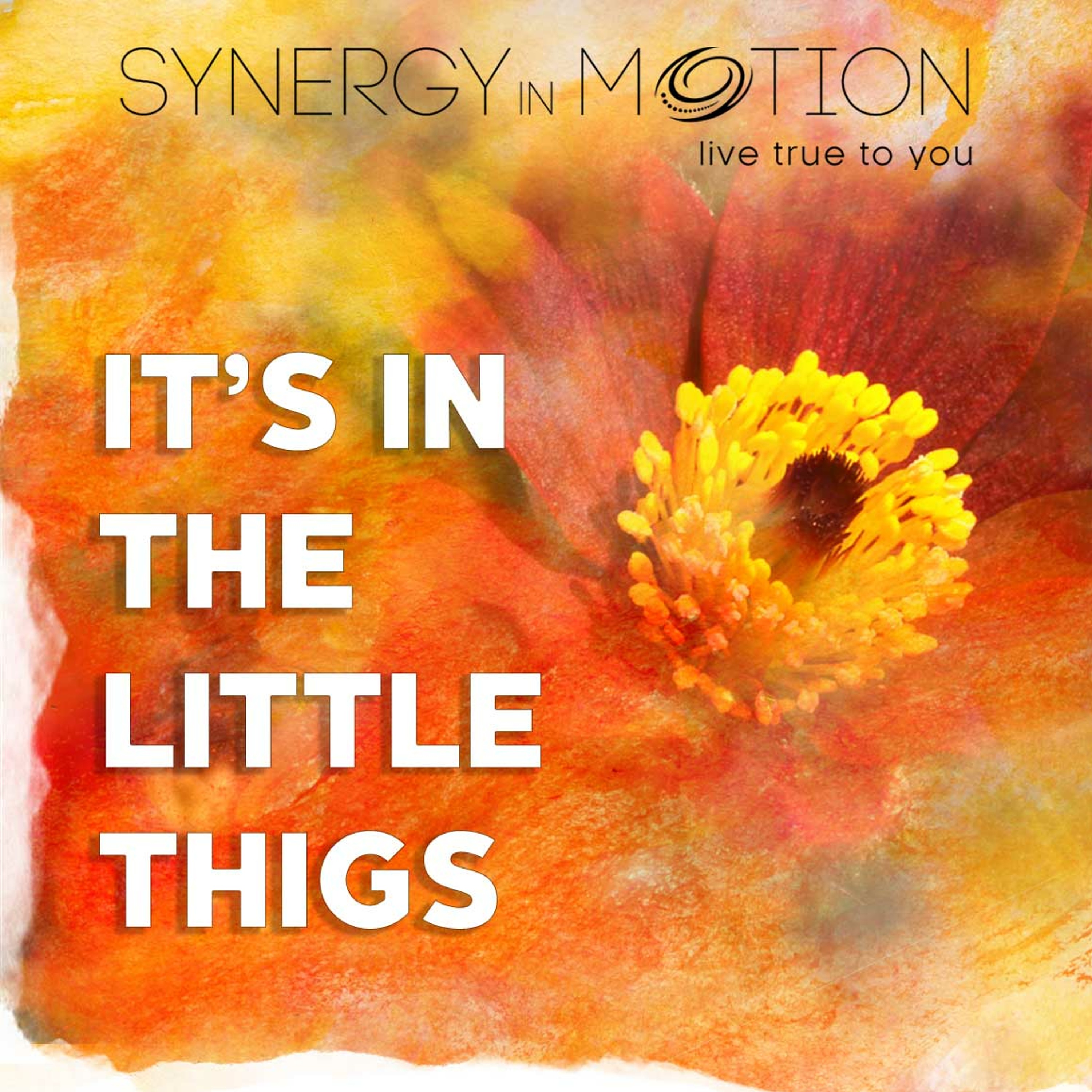 It's In The Little Things ~ Hexagram 9 ~ 2022-11-27 episode artwork