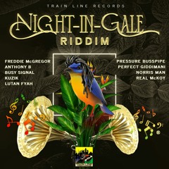 Night In Gale Riddim Mix Lutan Fyah,Busy Signal,Anthony B,Freddie Mcgregory,Norris Man & More