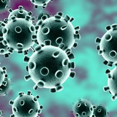 Notlieu - I Got Corana Virus