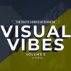 Visual Vibes Volume 5 (AfroBeats) DJ mix artwork - Electronic music tracklist cover image
