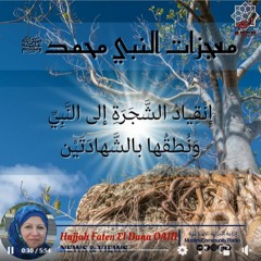 معجزة انقياد الشجرة للنبي محمد -  الحلقة الثالثة