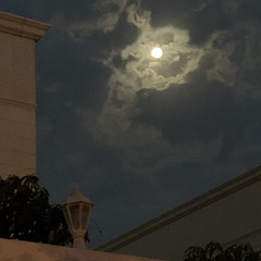 انا لو اني قادر اجيك جيتك.