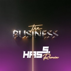 Tiesto - The Business (Hass remix)