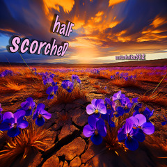 halF scorcheD [naviarhaiku582]