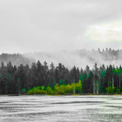 Vanish - One More Night