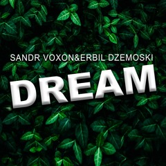 Sandr Voxon & Erbil Dzemoski - Dream