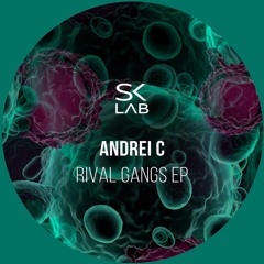 Andrei C - No One (original Mix)