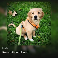RAUS MIT DEM HUND.mp3