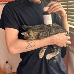 FREDDIE OH LA LA.wav