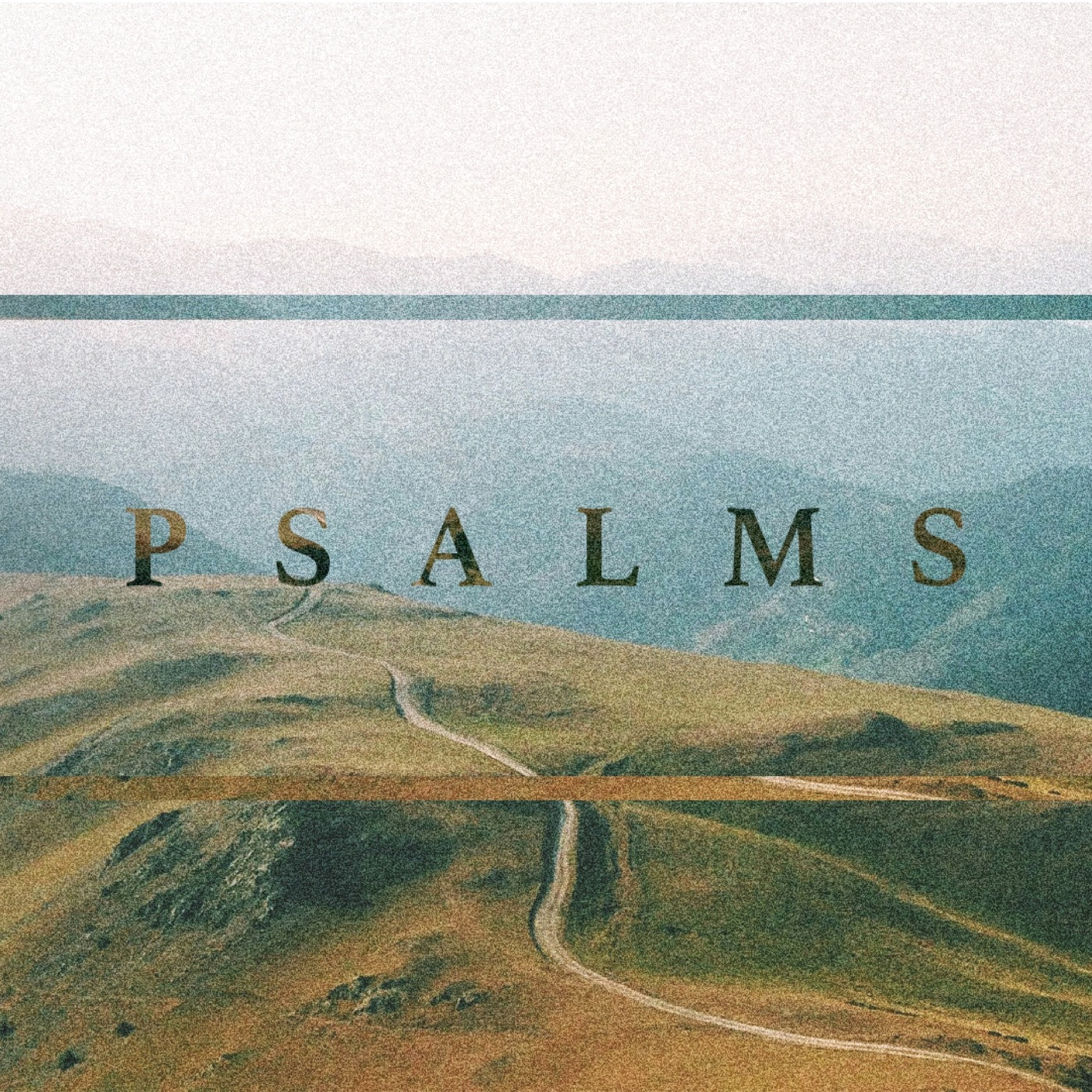 Not in Chariots- Psalm 20 episode artwork
