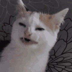 BarbeauB0t