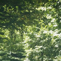 Solo øveopptak utdrag 1