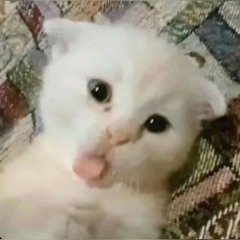 김치한 녀 (지한 diss)