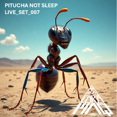 Loko_Maq_Pitucha_Not_Sleep_Live_Set_007