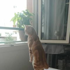 lazy song for lazy dayz (prod.beef) [slowed]