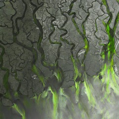 alt-J - Fitzpleasure (Kermode Remix)