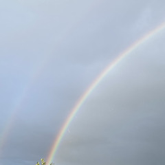 Hadouken - Lupus Nocte.mp3