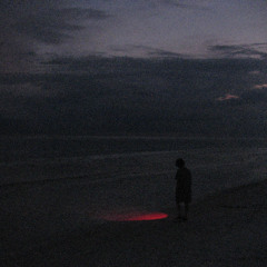 the forest un wept (album release)