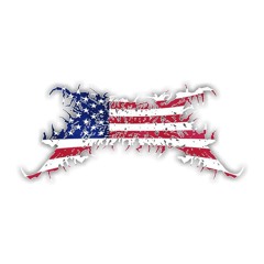 TEAM USA