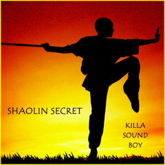 SHAOLIN SECRET (Drill /Trap) - (Open for collab)