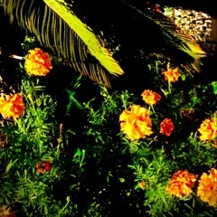 Omoide no screen 2.mp3