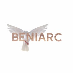 Beniarc - Vessels