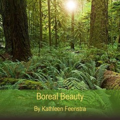 Boreal Beauty