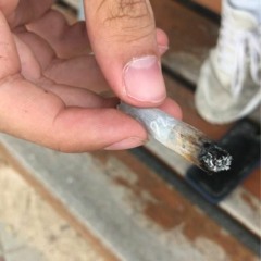 Chustafóctero - Bacth x Nocer